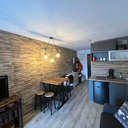 Studio Style Montagne Chic Apartment